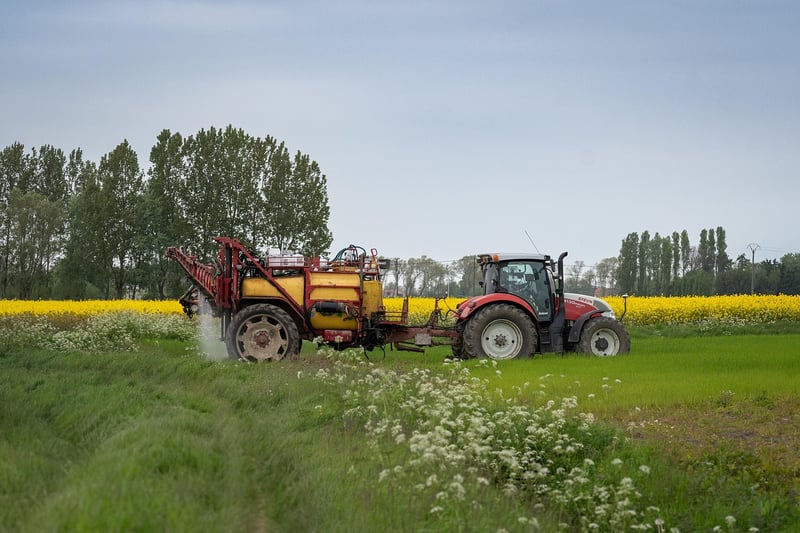 Rustic Field
